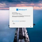 Windows 11 企业版（24H2）LTSC