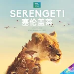 塞伦盖蒂 Serengeti